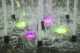Bad Frankenhausen Marktbrunnen mit RGB Power-Leds Bad Frankenhausen Marktbrunnen mit RGB Power-Leds